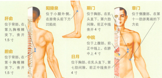 胆石症的艾灸疗法