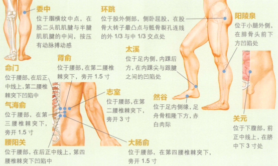 腰腿痛的艾灸疗法