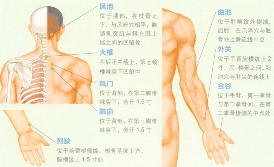 感冒的艾灸疗法