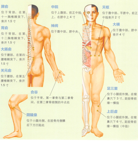 腹泻的艾灸疗法