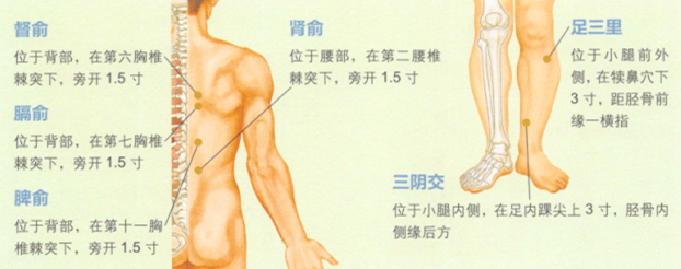 低血压的艾灸疗法