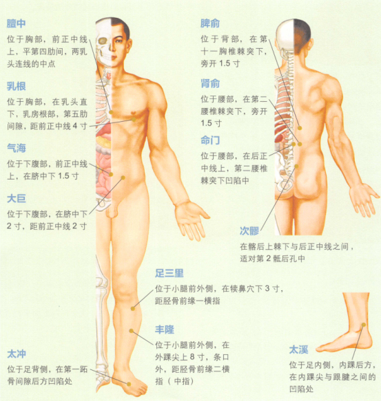 性冷淡的艾灸疗法