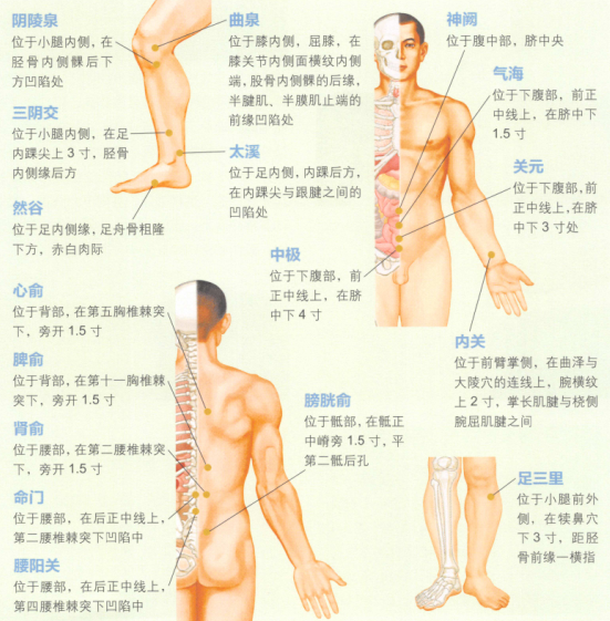阳痿的艾灸疗法