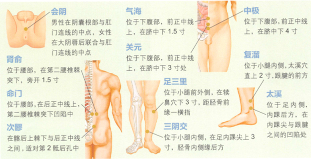 男性不育症的艾灸疗法
