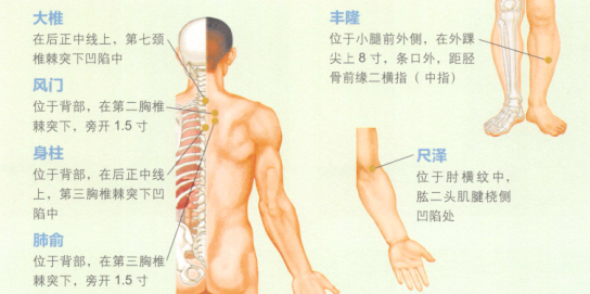 百日咳的艾灸疗法