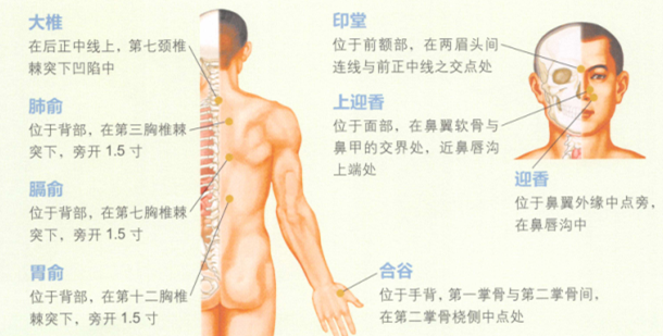 酒渣鼻的艾灸疗法