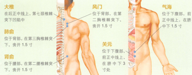 中老年保健的艾灸疗法