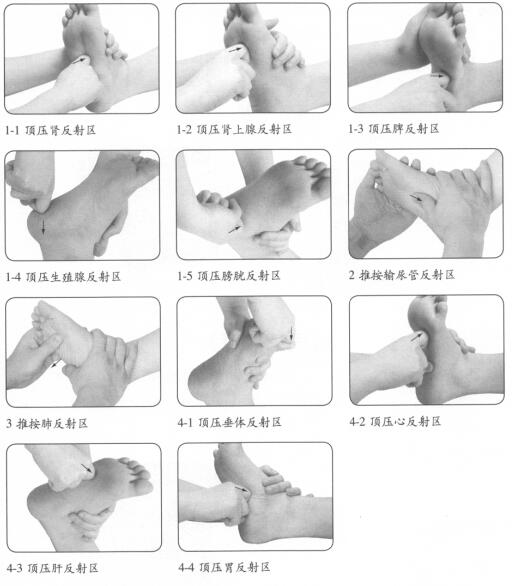 不育症的穴位按摩疗法