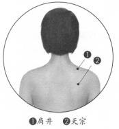 健美肩部的穴位按摩疗法