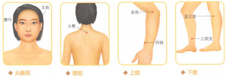 过敏性鼻炎的穴位按摩疗法