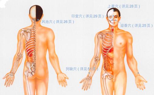 鼻炎的穴位按摩疗法
