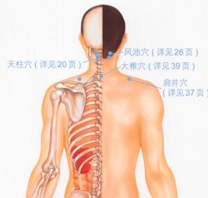 颈椎病的穴位按摩疗法