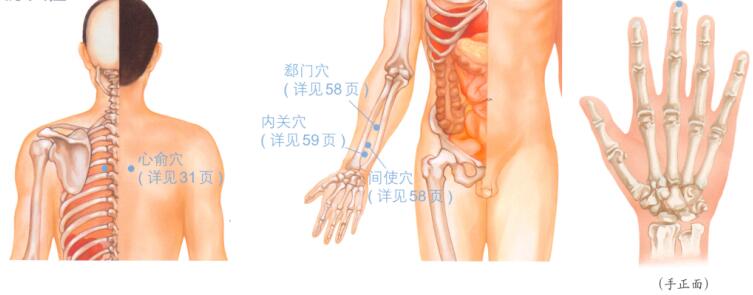 心绞痛的穴位按摩疗法