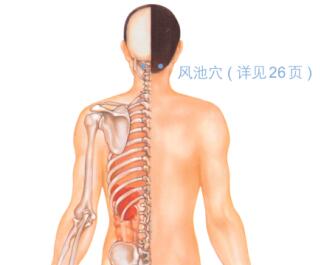 皮肤瘙痒的穴位按摩疗法