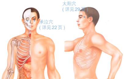 缓解疲劳的穴位按摩疗法
