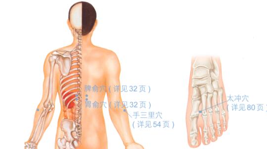 促进消化的穴位按摩疗法