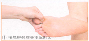 高脂血症的穴位按摩疗法