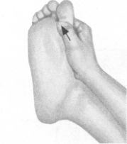 高脂血症的反射区按摩疗法