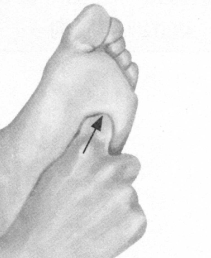 美容美体的反射区按摩疗法