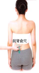 高脂血症的刮痧疗法