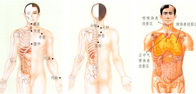 咳嗽的刮痧疗法
