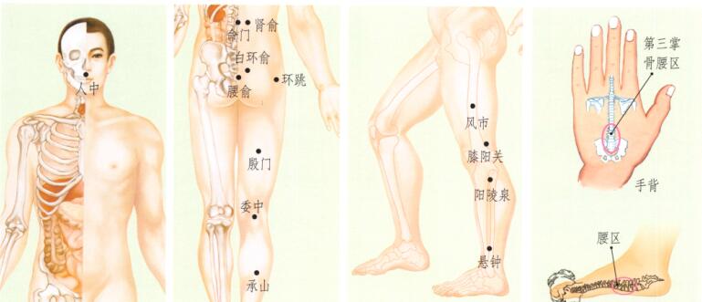 腰椎间盘突出的刮痧疗法