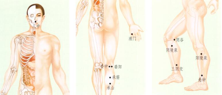 腓肠肌痉挛(腿抽筋)的刮痧疗法