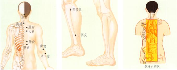 湿疹的刮痧疗法
