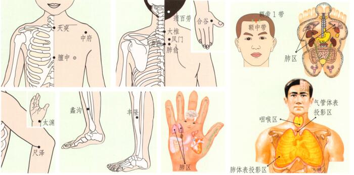 百日咳的刮痧疗法