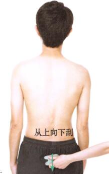 肾虚型阳痿-早泄的刮痧疗法