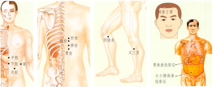 食欲不振的刮痧疗法