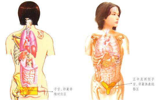 性保健的刮痧疗法