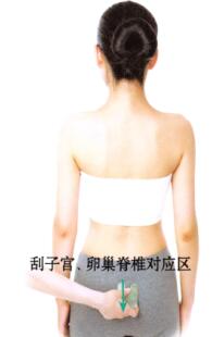 性保健的刮痧疗法