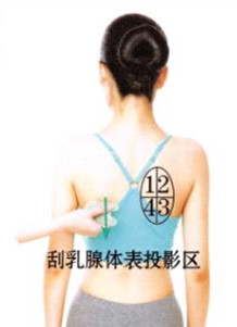 乳房保健的刮痧疗法