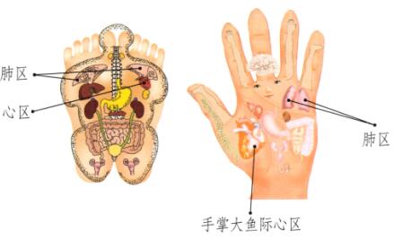 眉眼间皱纹的刮痧疗法