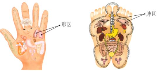 皮肤干燥的刮痧疗法