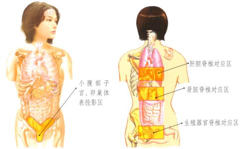 黑眼圈的刮痧疗法