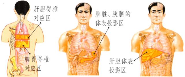 眼袋的刮痧疗法