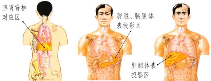 皮肤松弛的刮痧疗法