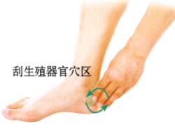 遗精的刮痧疗法