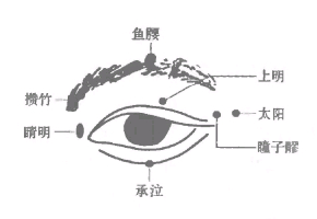 2388条图