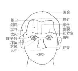 2389条图
