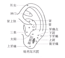 2755条图
