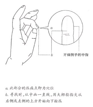 2756条图