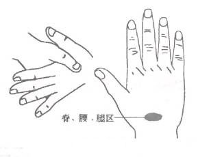 2984条图