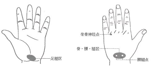 2985条图