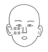 41条图