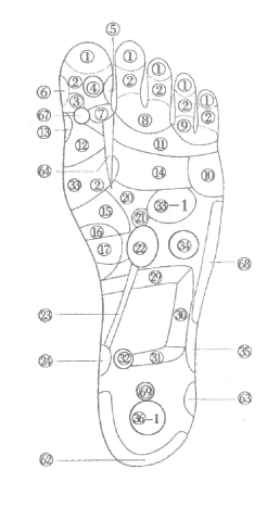4145条图4