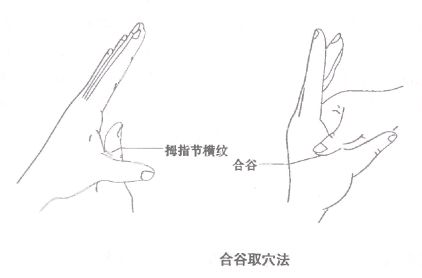 4202条图1