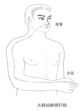 4202条图2